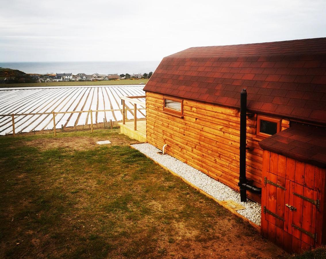 Gowanview Glamping Hotel Банф Екстериор снимка
